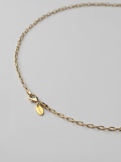 Fiorina Jewellery Gold Petit Pegasus Coin Necklace
