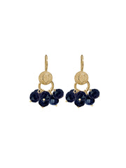 Fiorina Jewellery Gold Cha Cha Earrings Blue Sapphire